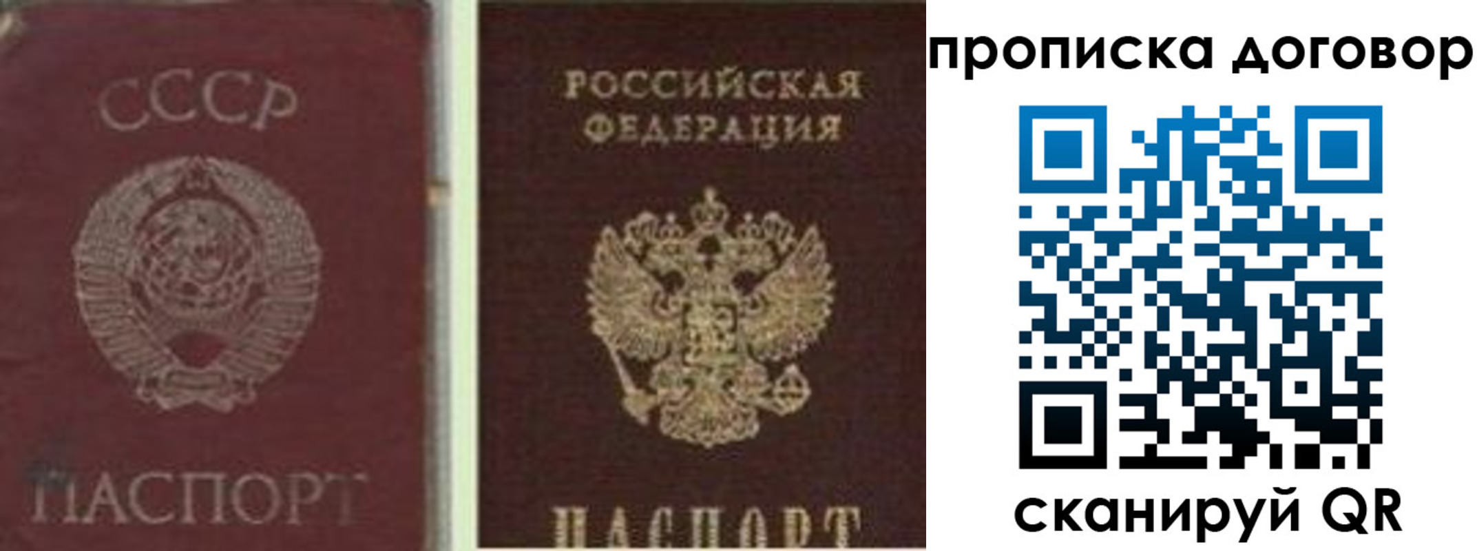 прописка гарантия в Ахтубинске